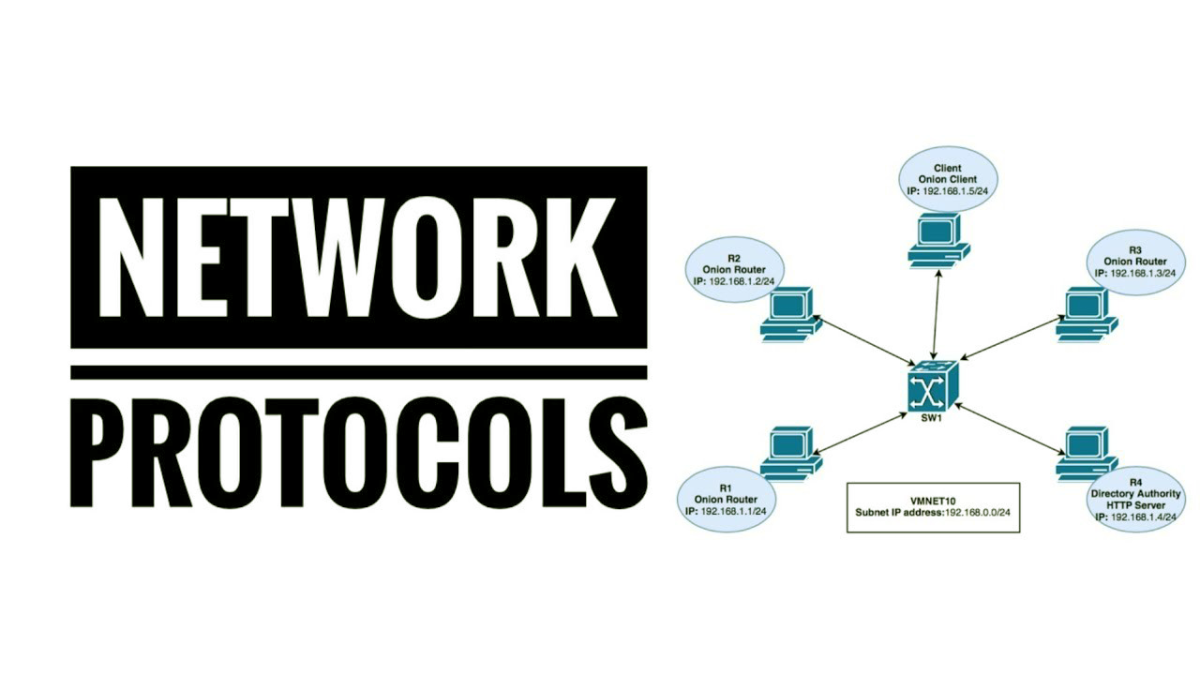 پروتکل‌ها- شبکه